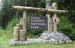 Motorcoach Tours of Olympic Peninsula, Bus Tours